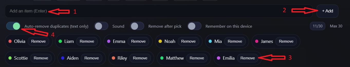 How to add items to the wheel – input field, Add button, item tags with Remove, Auto-remove duplicates toggle